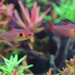 飼育303日目